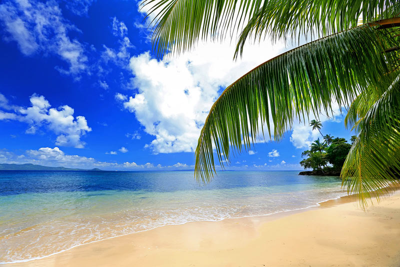 Fiji is the perfect place to escape for a winter holliday. 